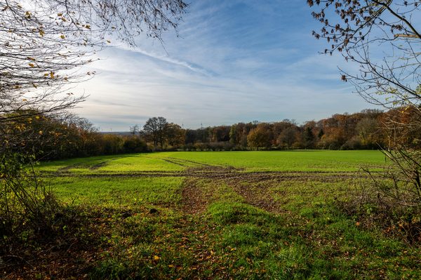 Optimisez votre culture avec un capteur de lumière performant